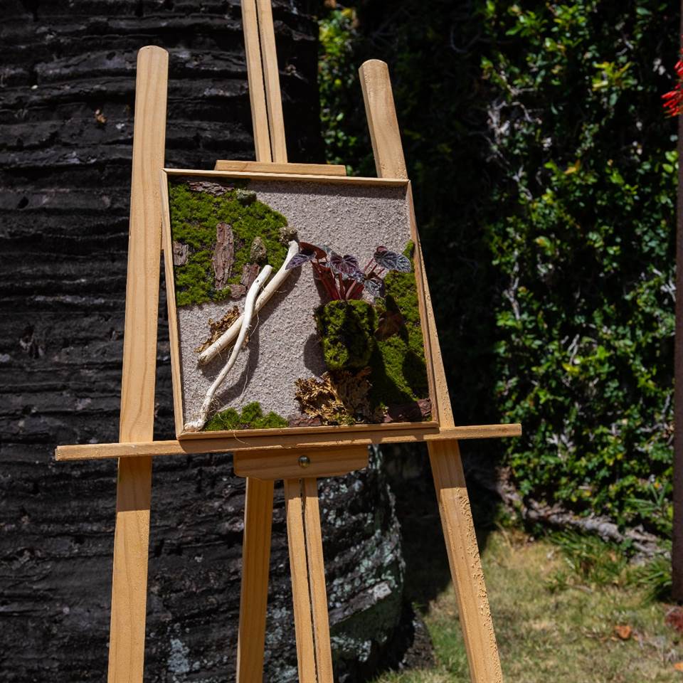 Harmonie Créations Florales - 4